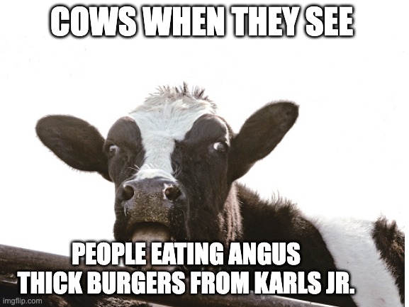 Cows when they see people eating Karls Jr. | COWS WHEN THEY SEE; PEOPLE EATING ANGUS THICK BURGERS FROM KARLS JR. | image tagged in cows,burger | made w/ Imgflip meme maker