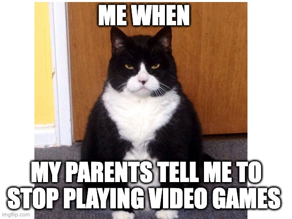 Mad cat | ME WHEN; MY PARENTS TELL ME TO STOP PLAYING VIDEO GAMES | image tagged in grumpy cat,video games | made w/ Imgflip meme maker
