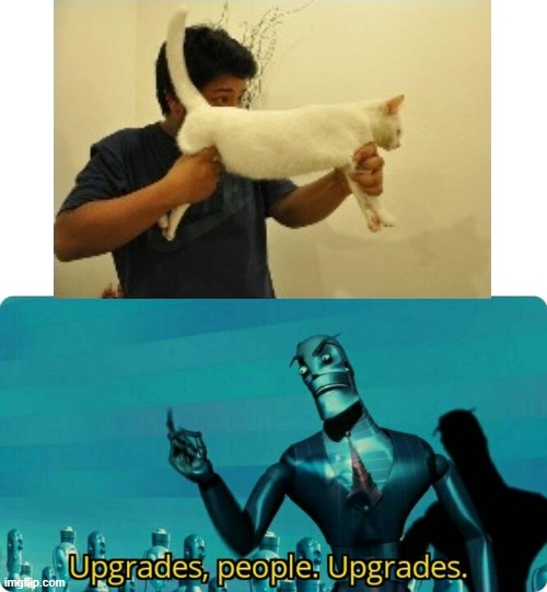 This cat needs upgrades to become a weapon in my army | image tagged in upgrades people upgrades,cats | made w/ Imgflip meme maker