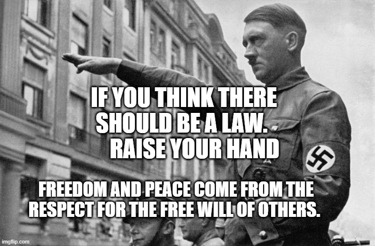 Hitler Salute | IF YOU THINK THERE SHOULD BE A LAW.        RAISE YOUR HAND; FREEDOM AND PEACE COME FROM THE RESPECT FOR THE FREE WILL OF OTHERS. | image tagged in hitler salute | made w/ Imgflip meme maker