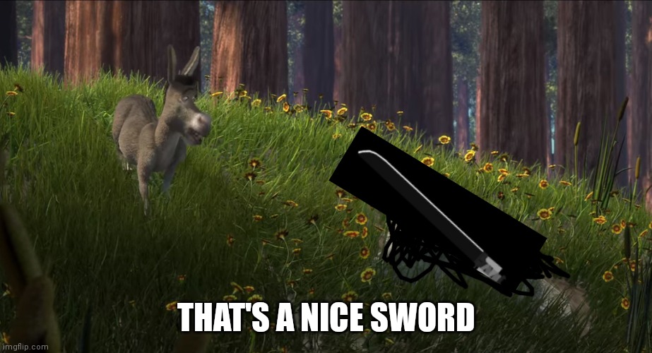 Thats a nice boulder | THAT'S A NICE SWORD | image tagged in thats a nice boulder | made w/ Imgflip meme maker