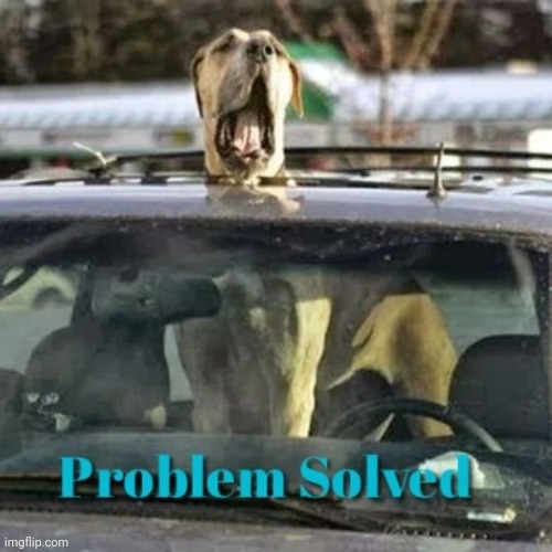 My big puppy | image tagged in sunroof,car,grea,dane,puppy | made w/ Imgflip meme maker