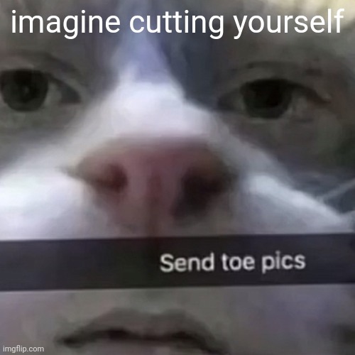 kat | imagine cutting yourself | image tagged in kat | made w/ Imgflip meme maker