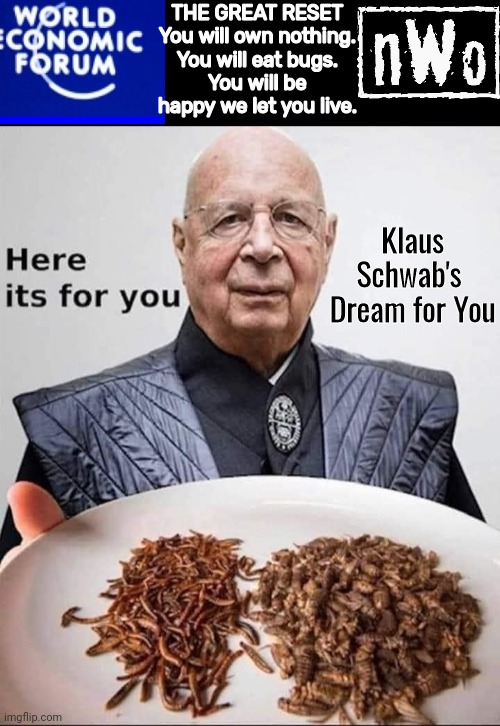 Klaus Schwab eat bugs | THE GREAT RESET
You will own nothing.
You will eat bugs.
You will be happy we let you live. Klaus Schwab's 
Dream for You | image tagged in black box | made w/ Imgflip meme maker