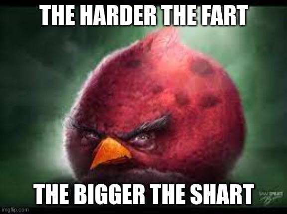 angry bird | THE HARDER THE FART; THE BIGGER THE SHART | image tagged in angry bird | made w/ Imgflip meme maker