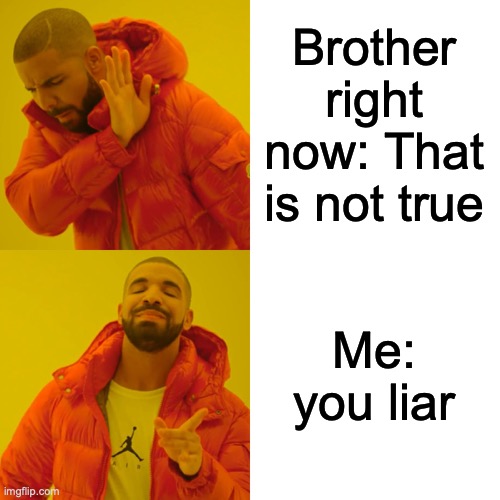 Drake Hotline Bling Meme | Brother right now: That is not true Me: you liar | image tagged in memes,drake hotline bling | made w/ Imgflip meme maker