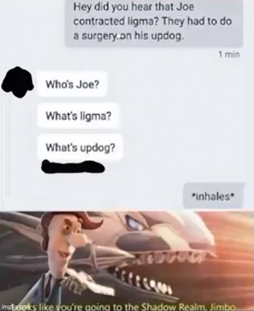 Looks like your going to the shadow realm Jimbo | image tagged in ligma,joe mama,updog | made w/ Imgflip meme maker
