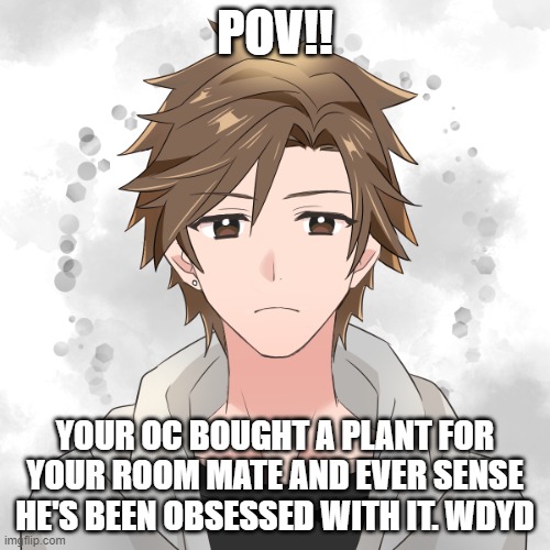 POV!! YOUR OC BOUGHT A PLANT FOR YOUR ROOM MATE AND EVER SENSE HE'S BEEN OBSESSED WITH IT. WDYD | made w/ Imgflip meme maker