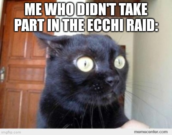 Scared Cat | ME WHO DIDN'T TAKE PART IN THE ECCHI RAID: | image tagged in scared cat | made w/ Imgflip meme maker