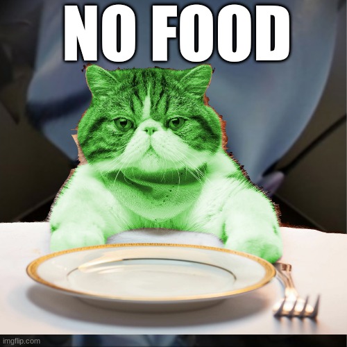 NO FOOD | made w/ Imgflip meme maker