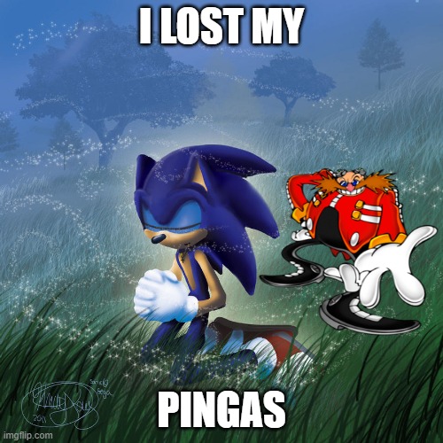 i lost my | I LOST MY; PINGAS | image tagged in i lost my | made w/ Imgflip meme maker