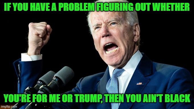 Biden Pissed | IF YOU HAVE A PROBLEM FIGURING OUT WHETHER YOU'RE FOR ME OR TRUMP, THEN YOU AIN'T BLACK | image tagged in biden pissed | made w/ Imgflip meme maker