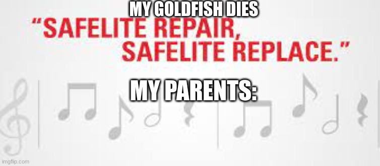 Truth | MY GOLDFISH DIES; MY PARENTS: | image tagged in funny | made w/ Imgflip meme maker