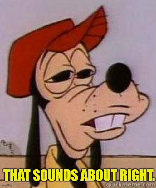 Stoned goofy | THAT SOUNDS ABOUT RIGHT. | image tagged in stoned goofy | made w/ Imgflip meme maker