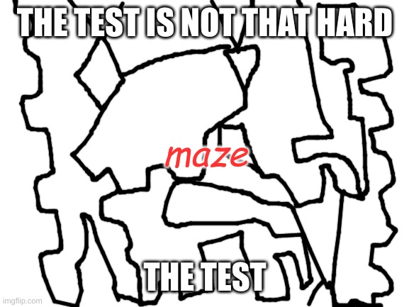 Blank White Template | THE TEST IS NOT THAT HARD; maze; THE TEST | image tagged in blank white template | made w/ Imgflip meme maker