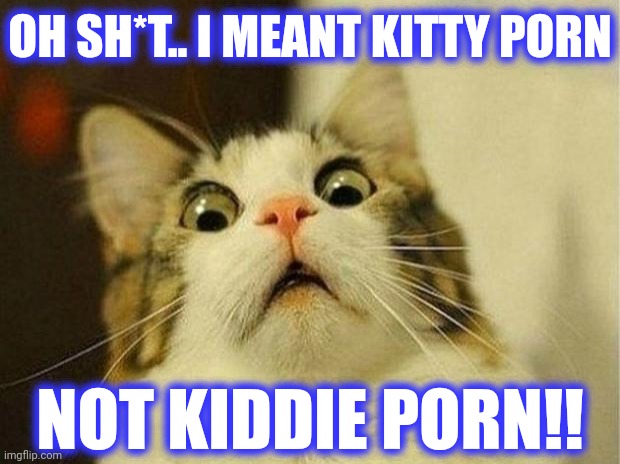 Scared Cat Meme | OH SH*T.. I MEANT KITTY PORN NOT KIDDIE PORN!! | image tagged in memes,scared cat | made w/ Imgflip meme maker