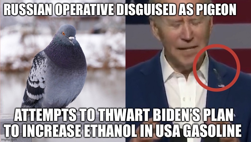 Russian Collusion In United States AGAIN! This Time - A Fecal Attack! | RUSSIAN OPERATIVE DISGUISED AS PIGEON; ATTEMPTS TO THWART BIDEN’S PLAN TO INCREASE ETHANOL IN USA GASOLINE | image tagged in joe biden,pigeon craps on biden,russian collusion | made w/ Imgflip meme maker