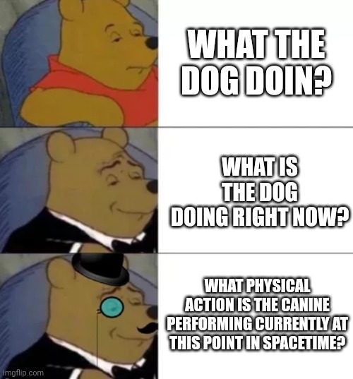 What is the dog currently doing? | WHAT THE DOG DOIN? WHAT IS THE DOG DOING RIGHT NOW? WHAT PHYSICAL ACTION IS THE CANINE PERFORMING CURRENTLY AT THIS POINT IN SPACETIME? | image tagged in fancy pooh | made w/ Imgflip meme maker