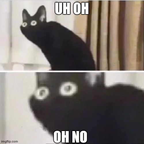 Oh no cat but with text | UH OH; OH NO | image tagged in oh no cat but with text | made w/ Imgflip meme maker