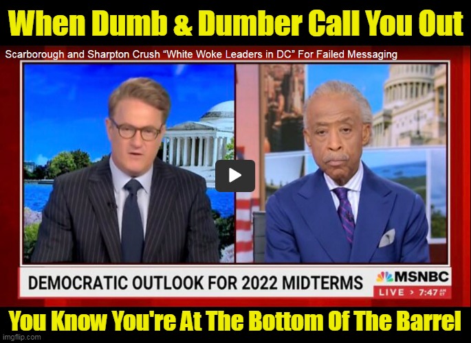 Dumb & Dumber | When Dumb & Dumber Call You Out; You Know You're At The Bottom Of The Barrel | image tagged in joe biden,al sharpton,joe scarborough | made w/ Imgflip meme maker