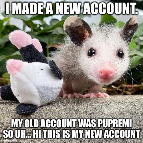 I MADE A NEW ACCOUNT. MY OLD ACCOUNT WAS PUPREMI SO UH... HI THIS IS MY NEW ACCOUNT | made w/ Imgflip meme maker