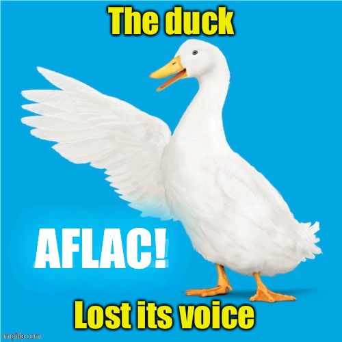 Rest In Peace Gilbert Gottfried | The duck; AFLAC! Lost its voice | image tagged in aflac,quack | made w/ Imgflip meme maker