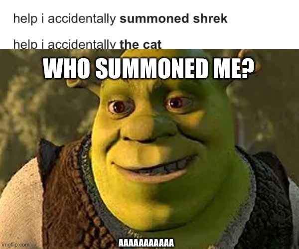 i summoned Shrek. | WHO SUMMONED ME? AAAAAAAAAAA | image tagged in shrek,help i accidentally | made w/ Imgflip meme maker