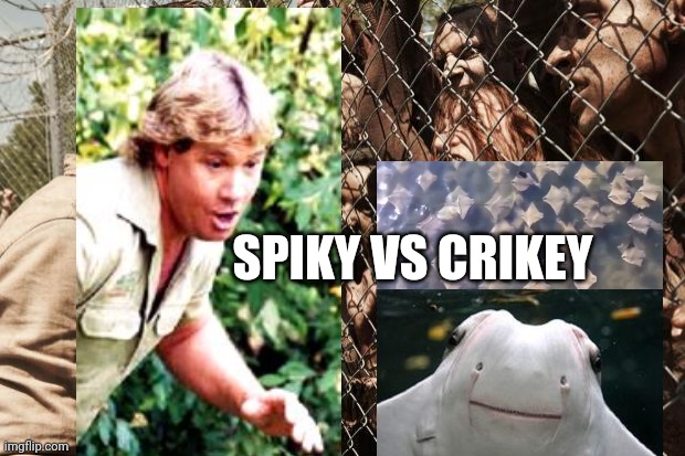 zombies | SPIKY VS CRIKEY | image tagged in zombies | made w/ Imgflip meme maker
