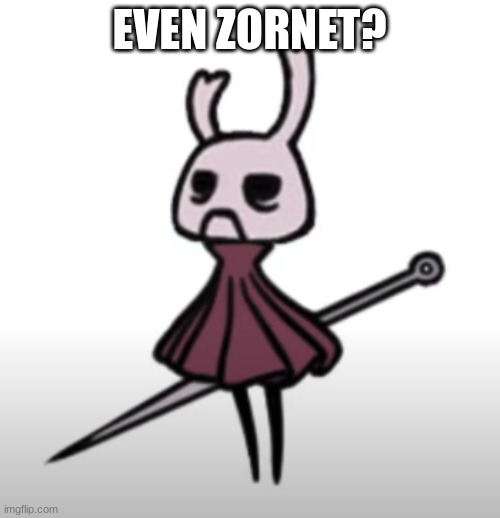 EVEN ZORNET? | made w/ Imgflip meme maker