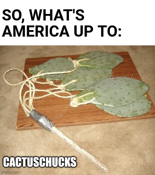 Cactuschucks |  SO, WHAT'S AMERICA UP TO:; CACTUSCHUCKS | image tagged in cactus chucks,nunchaku,nunchucks,cactus,cacti | made w/ Imgflip meme maker