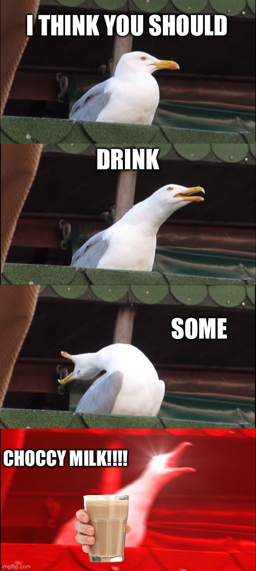 Inhaling Seagull Meme | I THINK YOU SHOULD; DRINK; SOME; CHOCCY MILK!!!! | image tagged in memes,inhaling seagull | made w/ Imgflip meme maker