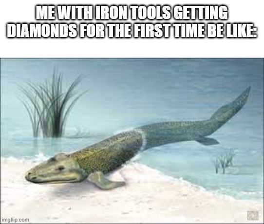 Upgrades people upgrades | ME WITH IRON TOOLS GETTING DIAMONDS FOR THE FIRST TIME BE LIKE: | image tagged in upgrades people upgrades,memes,minecraft,funny | made w/ Imgflip meme maker