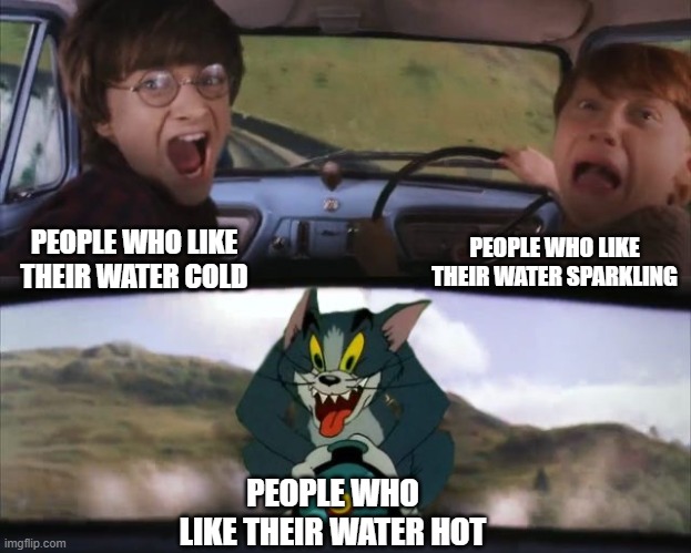 Tom chasing Harry and Ron Weasly | PEOPLE WHO LIKE THEIR WATER SPARKLING; PEOPLE WHO LIKE THEIR WATER COLD; PEOPLE WHO LIKE THEIR WATER HOT | image tagged in tom chasing harry and ron weasly | made w/ Imgflip meme maker