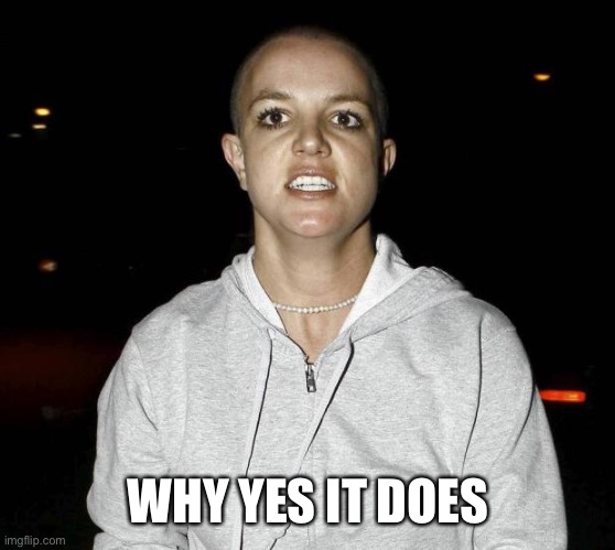 crazy bald britney spears | WHY YES IT DOES | image tagged in crazy bald britney spears | made w/ Imgflip meme maker