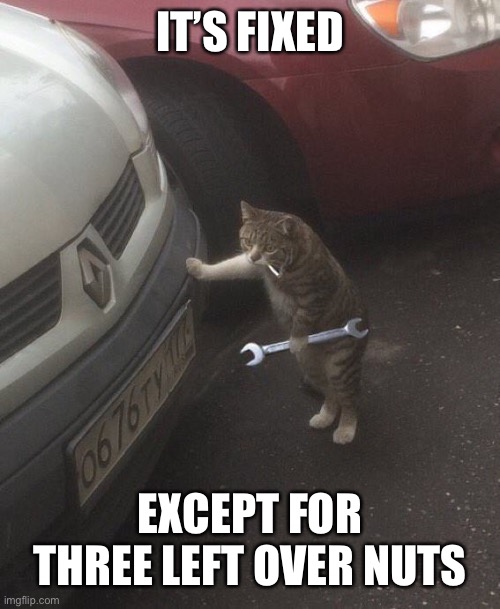 Mechanic cat | IT’S FIXED EXCEPT FOR THREE LEFT OVER NUTS | image tagged in mechanic cat | made w/ Imgflip meme maker