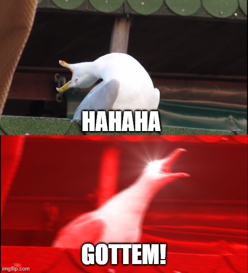 Screaming bird | HAHAHA GOTTEM! | image tagged in screaming bird | made w/ Imgflip meme maker