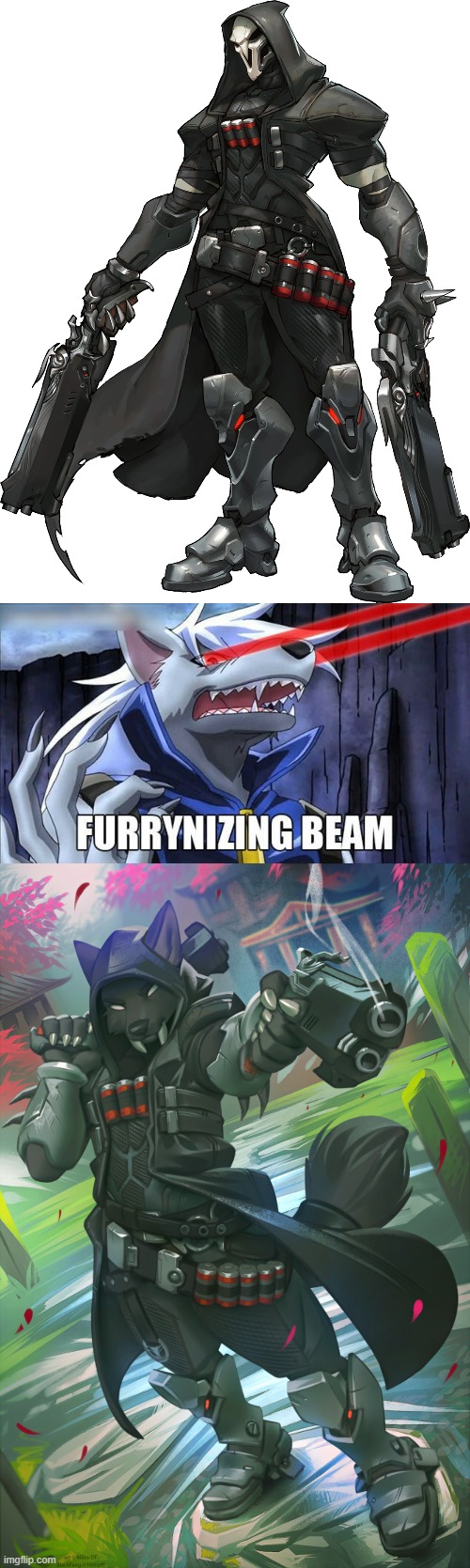 Finally! The MVP! (By Miles-DF) | image tagged in furrynizing beam,furry,overwatch,reaper,memes,finally | made w/ Imgflip meme maker