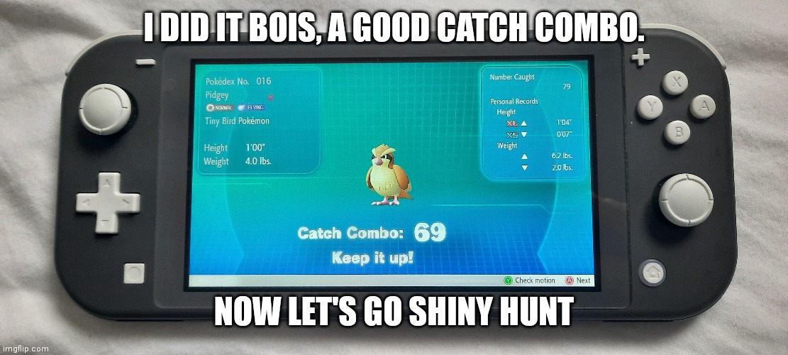 Noice. | I DID IT BOIS, A GOOD CATCH COMBO. NOW LET'S GO SHINY HUNT | image tagged in pokemon,lets go,noice,69,shiny,stop reading the tags | made w/ Imgflip meme maker