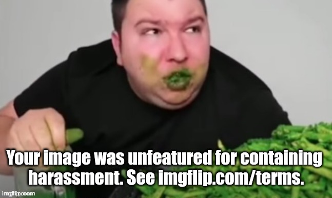 Your image was unfeatured for containing  harassment. See imgflip.com/terms. | Your image was unfeatured for containing 
harassment. See imgflip.com/terms. | image tagged in nikocado avocado,takis,memes,terms of service,harassment,unfeatured | made w/ Imgflip meme maker