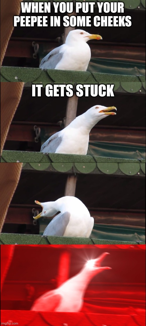 Inhaling Seagull Meme | WHEN YOU PUT YOUR PEEPEE IN SOME CHEEKS; IT GETS STUCK | image tagged in memes,inhaling seagull | made w/ Imgflip meme maker