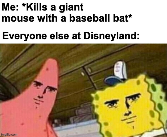 u wot mate?? | Me: *Kills a giant mouse with a baseball bat*; Everyone else at Disneyland: | image tagged in memes,unfunny | made w/ Imgflip meme maker