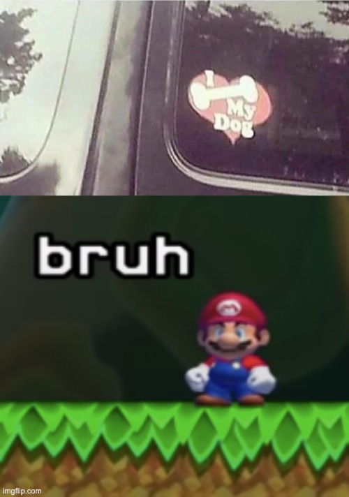 REALLY?? | image tagged in mario bruh,memes,unfunny | made w/ Imgflip meme maker