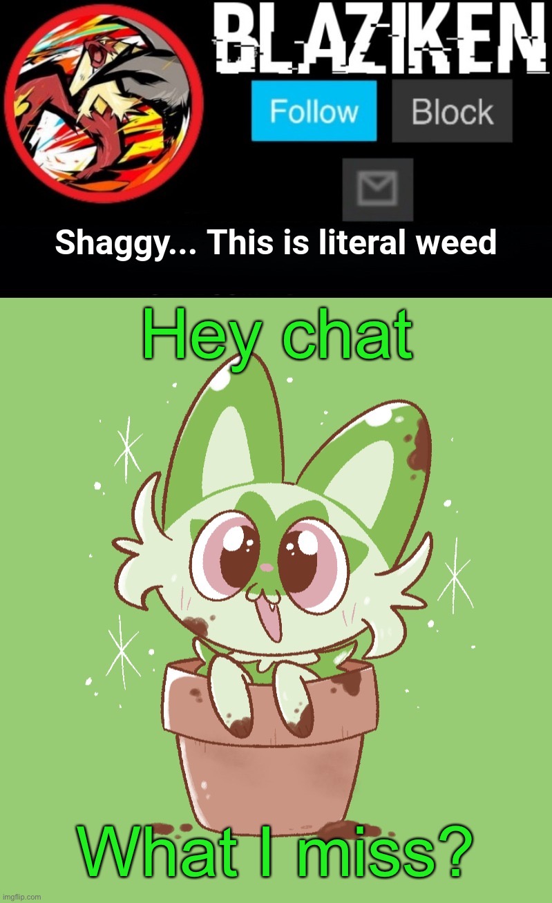 This ain't weed... | Hey chat; What I miss? | image tagged in blaziken sprigatito temp | made w/ Imgflip meme maker