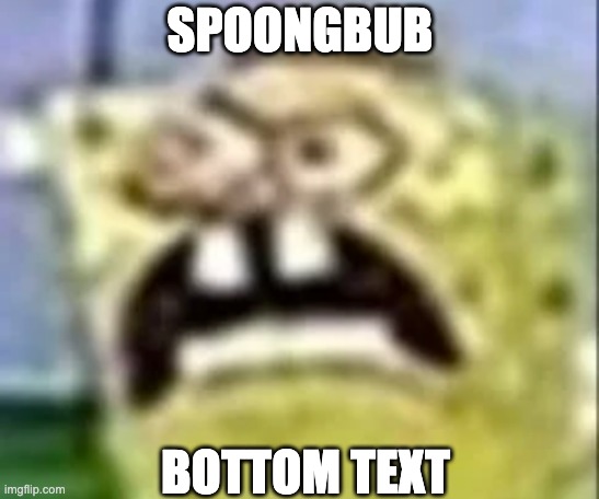 SPOONGBUB; BOTTOM TEXT | image tagged in memes,unfunny | made w/ Imgflip meme maker