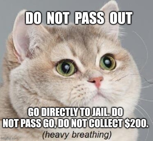 Heavy Breathing Cat Meme | DO  NOT  PASS  OUT GO DIRECTLY TO JAIL. DO NOT PASS GO, DO NOT COLLECT $200. | image tagged in memes,heavy breathing cat | made w/ Imgflip meme maker