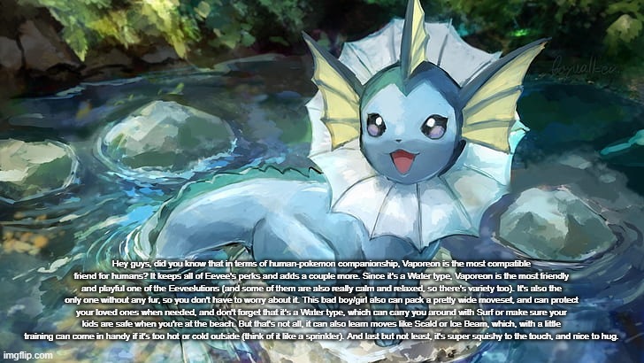 yeah I found a blessed Vaporeon copypasta | Hey guys, did you know that in terms of human-pokemon companionship, Vaporeon is the most compatible friend for humans? It keeps all of Eevee's perks and adds a couple more. Since it's a Water type, Vaporeon is the most friendly and playful one of the Eeveelutions (and some of them are also really calm and relaxed, so there's variety too). It's also the only one without any fur, so you don't have to worry about it. This bad boy/girl also can pack a pretty wide moveset, and can protect your loved ones when needed, and don't forget that it's a Water type, which can carry you around with Surf or make sure your kids are safe when you're at the beach. But that's not all, it can also learn moves like Scald or Ice Beam, which, with a little training can come in handy if it's too hot or cold outside (think of it like a sprinkler). And last but not least, it's super squishy to the touch, and nice to hug. | image tagged in harrison announcement | made w/ Imgflip meme maker