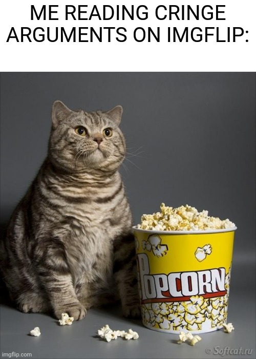 Cat eating popcorn | ME READING CRINGE ARGUMENTS ON IMGFLIP: | image tagged in cat eating popcorn,memes,funny,funny memes,argument,imgflip | made w/ Imgflip meme maker