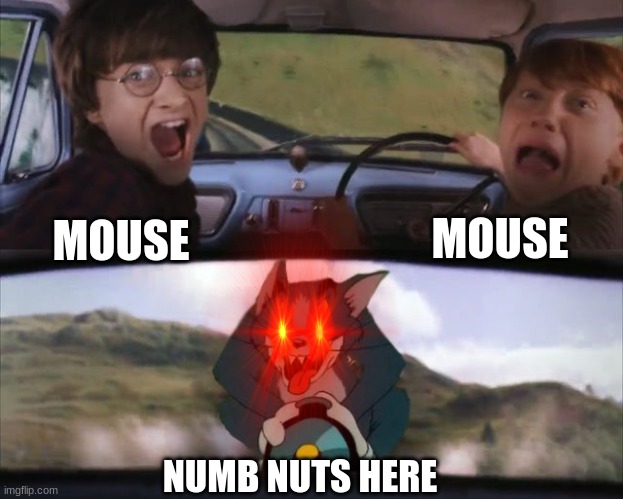 random image | MOUSE; MOUSE; NUMB NUTS HERE | image tagged in tom chasing harry and ron weasly | made w/ Imgflip meme maker
