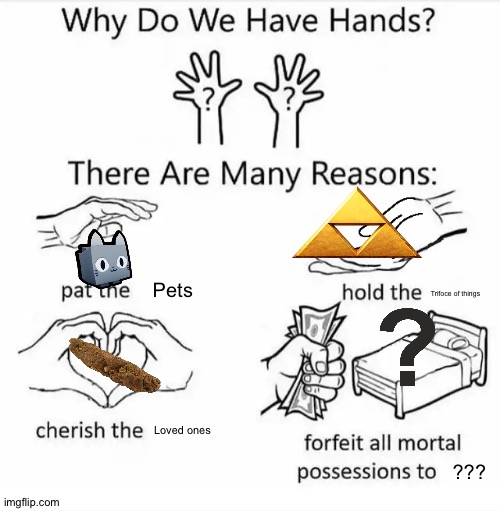 Why we have hands | Pets; Trifoce of things; Loved ones; ??? | image tagged in why do we have hands all blank | made w/ Imgflip meme maker