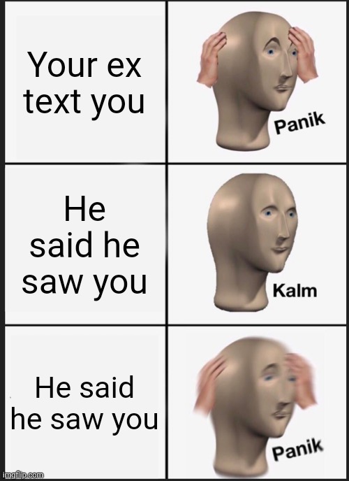 Yeah he never saw me and then he saw me iykyk T-T | Your ex text you; He said he saw you; He said he saw you | image tagged in memes,panik kalm panik | made w/ Imgflip meme maker